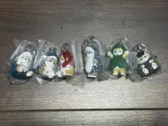 모프샌드 메지루시 액세서리 완성