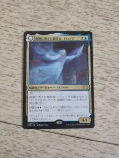 ◆復讐に燃えた犠牲者、ドロテア 日本語1枚