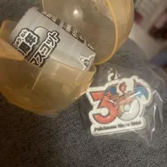 ポケモン30周年 メタルチャームマスコット リザードン
