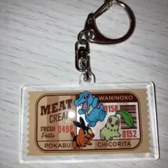 ポケモン　プラント　アクリルキーホルダー　ワニノコ　ポカブ　チコリータ