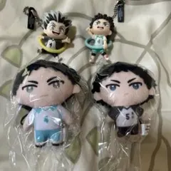 ハイキュー 赤葦京治 岩泉一