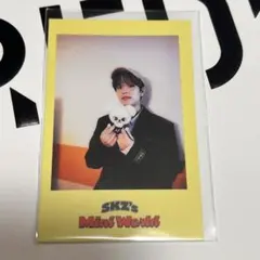 Stray kids シーグリ 2023 スンミン ポラロイド トレカ