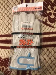 Item thumbnail for item 7f04a3ad-f737-4e81-ab4c-104a8a15f9c5