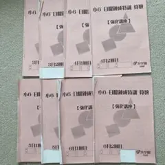 【浜学園】小6 日曜算数 強化問題 8冊