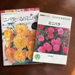 薔薇