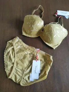 E65 トリンプ　ゴールドレーベル ブラジャーショーツセット　プレミアム