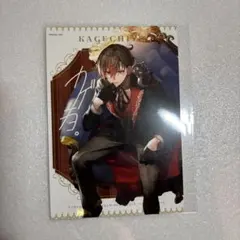 混血のカレコレ