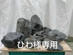 2026年最新】八海石の人気アイテム - メルカリ