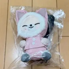 Stray Kids スキズ ぬいぐるみ ミニ フォクシニー アイエン - メルカリ