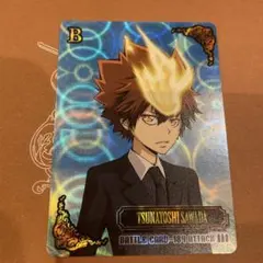 2025年最新】サザンクロスバトル 綱吉の人気アイテム - メルカリ