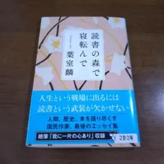 読書の森で寝転んで