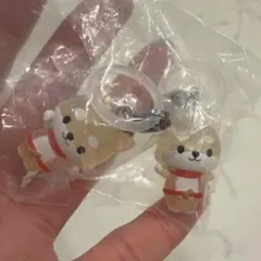 JOCHUM まめちぃ 豆原一成