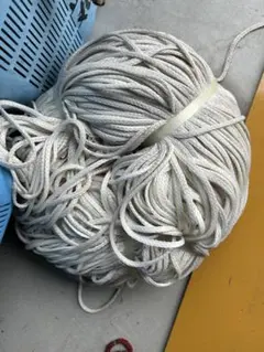 Item thumbnail for item 08e84ba6-cab9-4b53-a11c-1b03fbcba24d