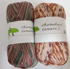 カメレオン カメラ 2 サマー合細中細 ウールコットン 輸入糸 段染め ソック