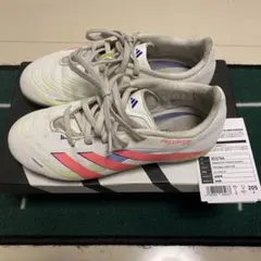 Item thumbnail for item 6e02fcc0-4382-4655-b5d9-b823cb8600b8