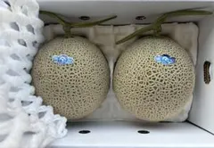 「明日まで値下げ」温室メロン 2玉入り メロン アールスメロン 果物 贈答ギフトのサムネイル