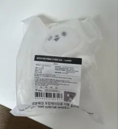 straykids dominate ツアーグッズ