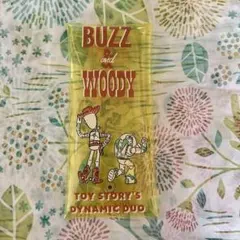ディズニーピクサー　バズ&ウッディ　トイストーリー　マルチケース