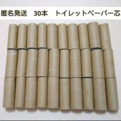 Item thumbnail for item 3da2c2f5-f914-4fd1-956c-61c0ce583bf1