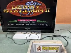 【動作品】DERBY STALLION II スーパーファミコンソフト　清掃済み