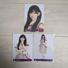 乃木坂46 池田瑛紗 ビリヤニ 封入 生写真 4種 セミコンプ