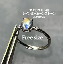 白い猫様 リクエスト 3点 まとめ商品