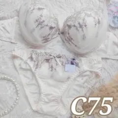 №1482【C75】プリティーキャットアーチプラジャー＆フルバックショー ツ