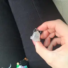 ポチャッコ めじるしチャーム