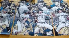 Item thumbnail for item 4864d689-e544-4791-b6c7-b0c49f5b5217