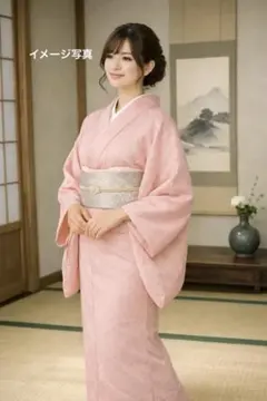 訪問着 薄ピンク色 草花文様 夏着物 絽 - メルカリ