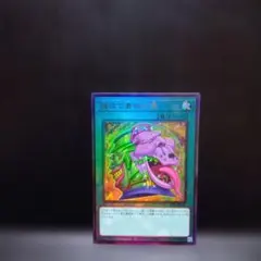 misaka様 リクエスト 2点 まとめ商品