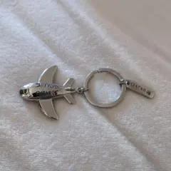 Item thumbnail for item 8a3a1c5e-7d4f-4172-b0cc-635c953be99e