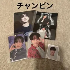 straykids スキズ チャンビン 5枚セット