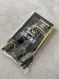 Item thumbnail for item ee49bba3-07fa-4936-8d36-bbb79efb3239