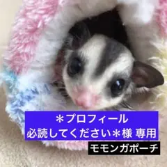 ＊プロフィール必読してください＊様 リクエスト 2点 まとめ商品