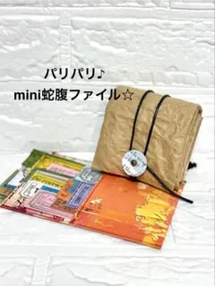ミニ蛇腹ファイル　おすそ分けファイル　コラージュ素材収納　クラフトファイル
