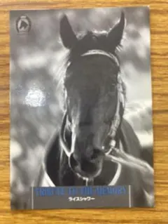 2026年最新】ライスシャワー 馬券の人気アイテム - メルカリ