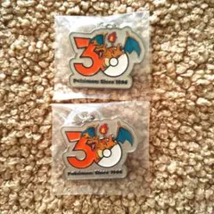 ポケモン　30周年　メタルチャームマスコット　リザードン