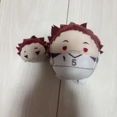 ハイキュー　天童覚　ぬいぐるみマスコットキーホルダー