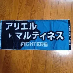 ポルノグラフィティ ハネウマライダー ライブタオル ツアーグッズ