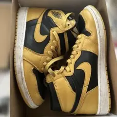 Nike Air Jordan 1 Retro High箱付き