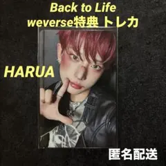 &TEAM BTL Weverse Shop 限定特典 トレカ　HARUA