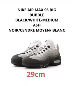 【未使用】Nike Air Max 95 グラナイト 2026年 29cm