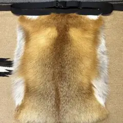 【裏地付】レッドフォックス 登山　赤狐毛皮敷物　尻あて　キャンプ　スキー　マタギ