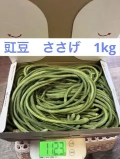 茨城県産採れたて 豇豆 三尺ささげ コンパクト箱 - メルカリ