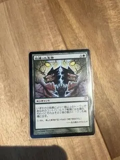 2025年最新】似通った生命の人気アイテム - メルカリ