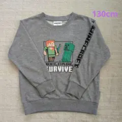 マインクラフト トレーナー