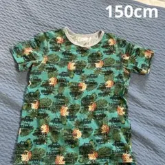 Item thumbnail for item 6f7b297c-cdfd-41a3-bf71-0feef9de734c