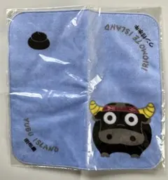 Item thumbnail for item 5c043ba6-a4f6-4089-a748-e2559fd0542e