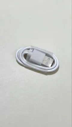 USB-A to USB-C ホワイトケーブル